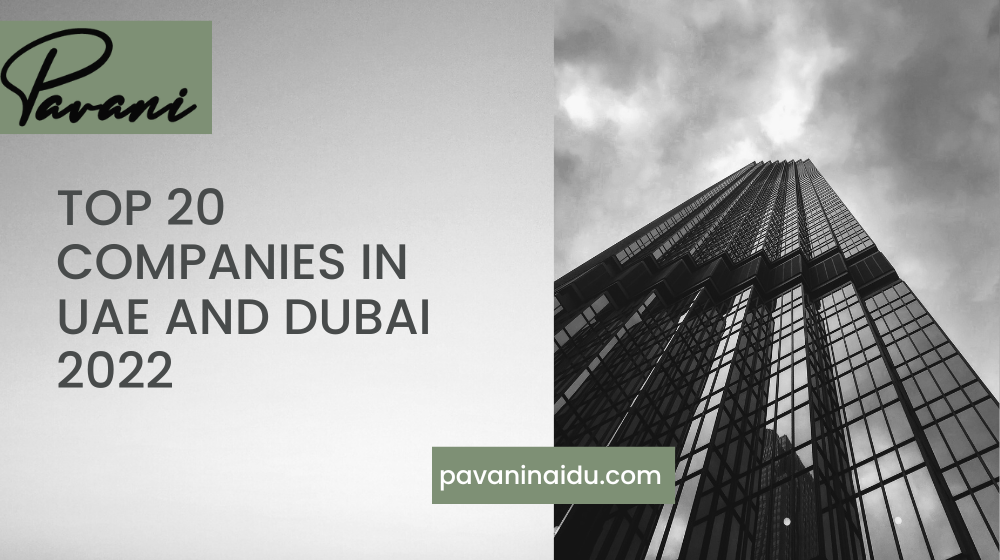 Top 20 Companies In UAE and Dubai 2024