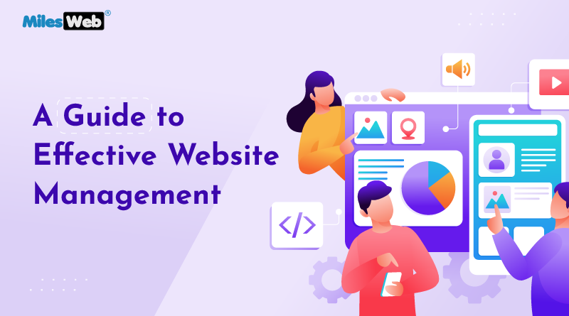 A Guide to Effective Website Management