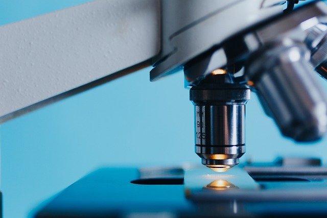 Unlock the Secrets of Biology with NCERT Class 12